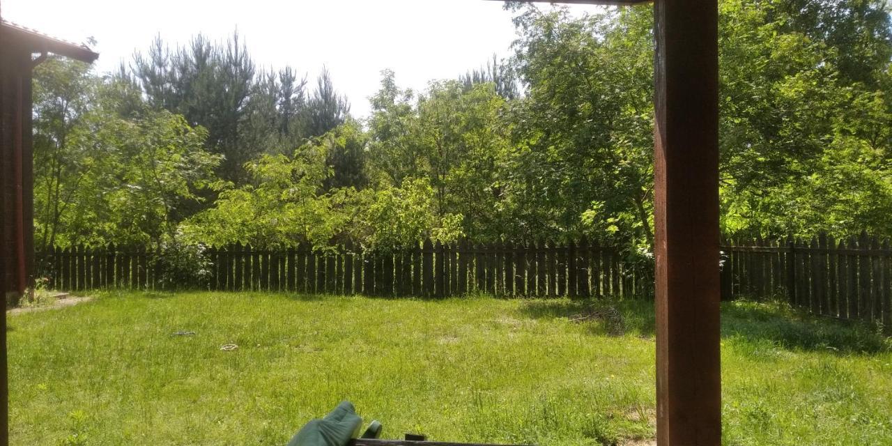 Bialowieza Spanie Na Sianie Puszcza Bialowieska Dubicze Cerkiewne Exterior foto