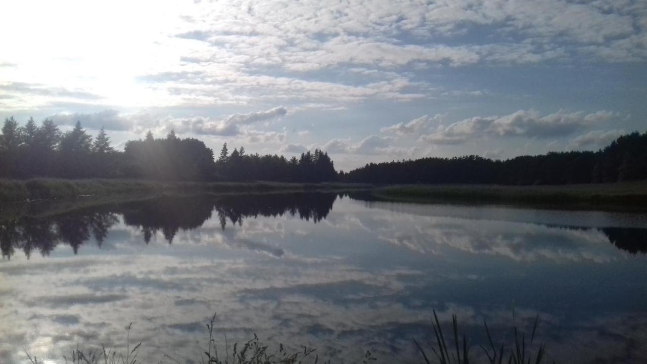 Bialowieza Spanie Na Sianie Puszcza Bialowieska Dubicze Cerkiewne Exterior foto
